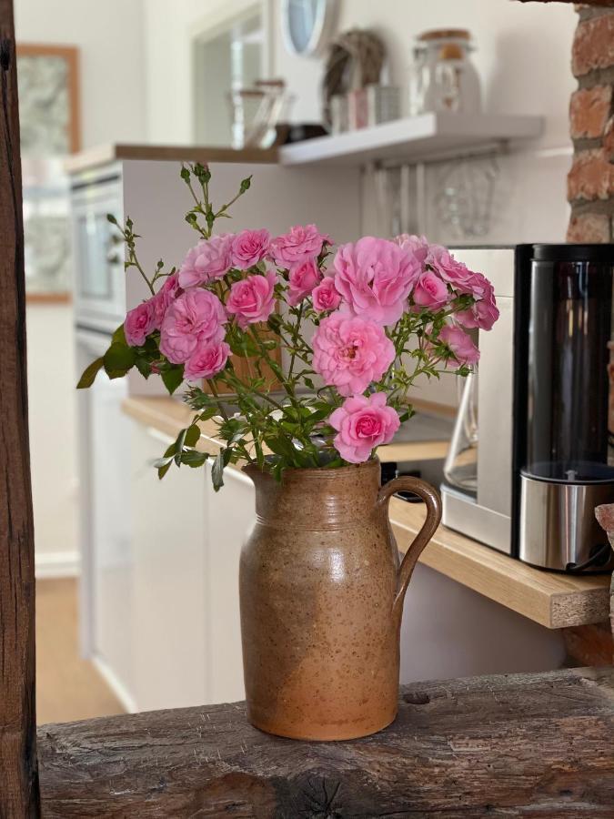 Altstadt Fereienwohnung Hameln Hamelin Eksteriør bilde
